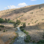 نهر الأردن