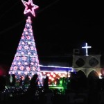 شجرة الميلاد في دير الأحمر