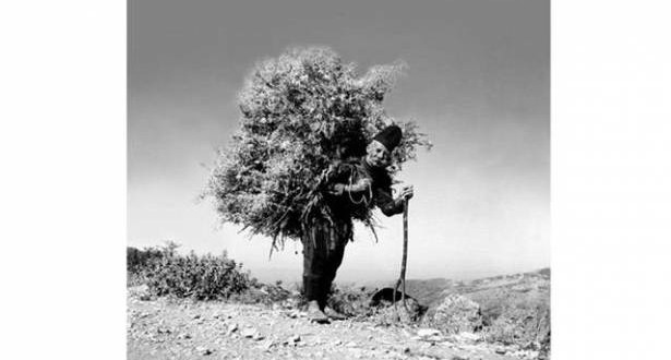 Le Liban sans retouche لرولان صيداوي تكريم للمصور الراحل الذي أرّخ لبنان القديم