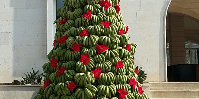 شجرة ميلادية من الموز في الدامور